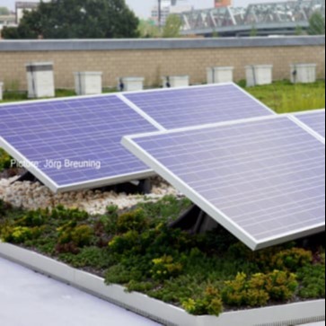 NYC First Solar Green Roof