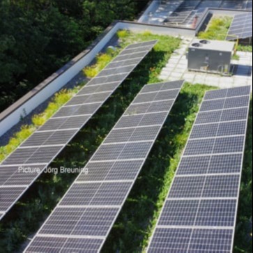 Washington DC Solar Garden Roof