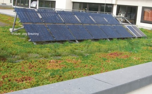 Agrisolar on roofs 